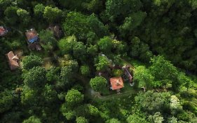 Mahout Resort Wayanad - An Experiential Jungle Stay With Waterfall